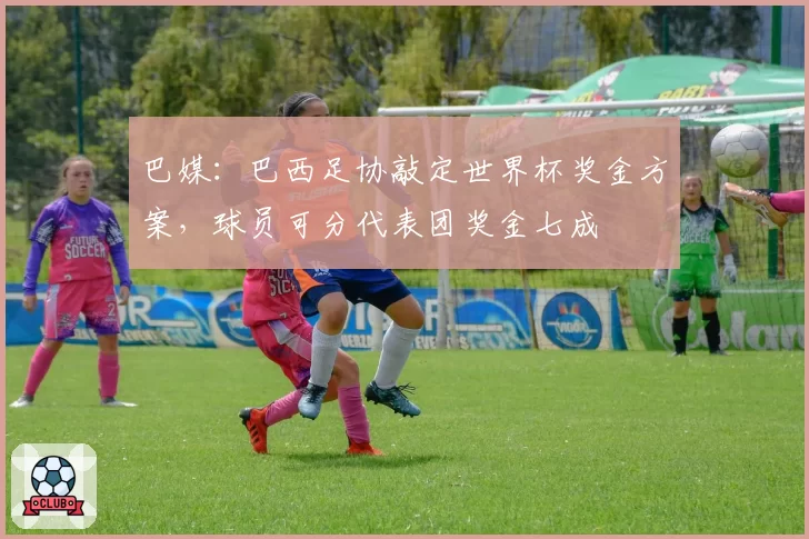 巴媒：巴西足协敲定世界杯奖金方案，球员可分代表团奖金七成