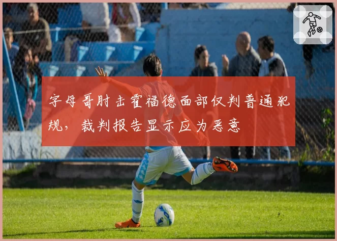 字母哥肘击霍福德面部仅判普通犯规，裁判报告显示应为恶意