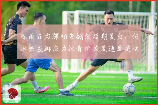 陈雨菲右踝韧带撕裂延期复出,何冰娇左脚应力性骨折恢复速度更快