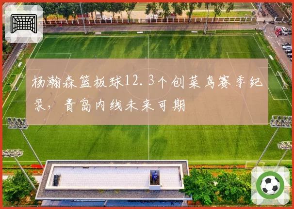 杨瀚森篮板球12.3个创菜鸟赛季纪录，青岛内线未来可期
