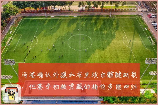 海港确认外援加布里埃尔髌腱断裂，但赛季初被雪藏的梅伦多能回归吗？