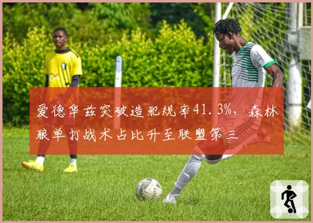 爱德华兹突破造犯规率41.3%，森林狼单打战术占比升至联盟第三